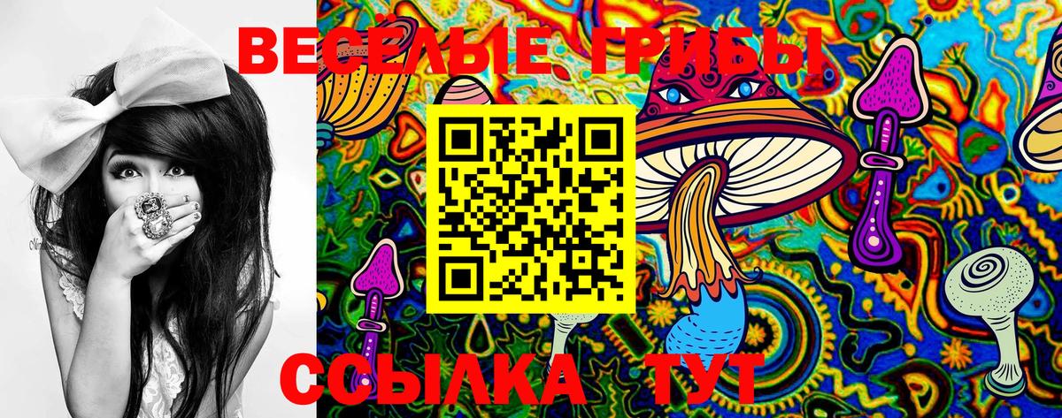 Галлюциногенные грибы Psilocybine cubensis Тосно